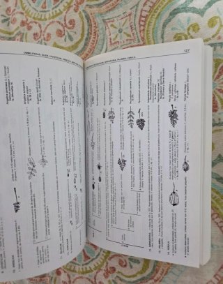 Claves para la determinación de plantas vasculares