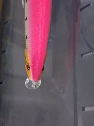 Señuelo pesca