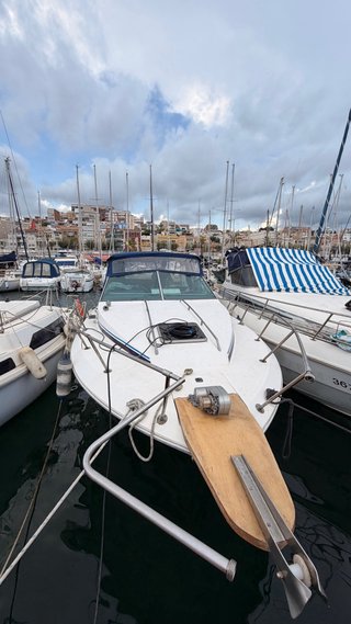 Sea Ray Amberjack 27' Barco a motor
