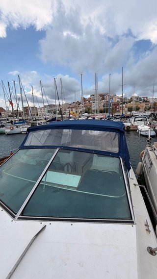 Sea Ray Amberjack 27' Barco a motor