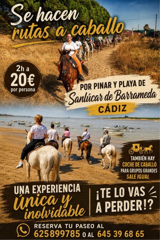 Rutas a caballo Pinar y Playa Sanlúcar