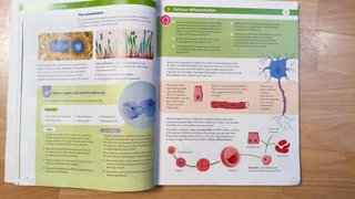 Biology and geology 3 World makers Santillana