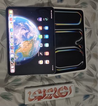 iPad Pro M4 11 256GB Plata