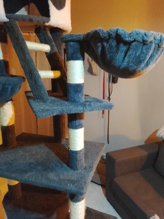 Torre para gatos de suelo a techo