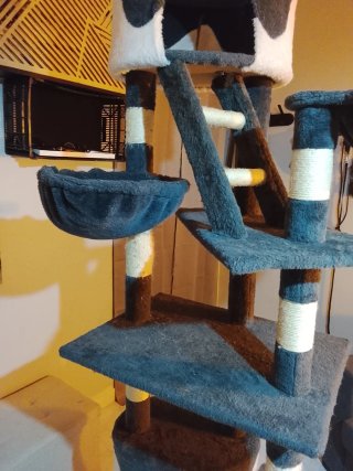 Torre para gatos de suelo a techo