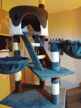 Torre para gatos de suelo a techo