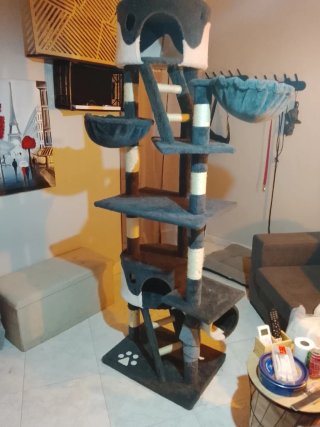 Torre para gatos de suelo a techo