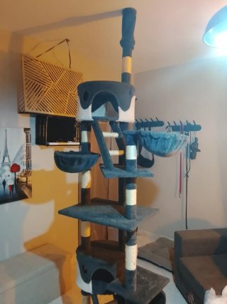 Torre para gatos de suelo a techo