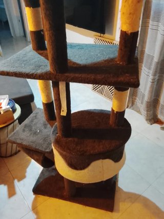 Torre para gatos de suelo a techo