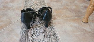 Zapatos Gracia Talla 38