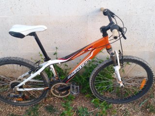Bicicleta coluer