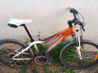 Bicicleta coluer