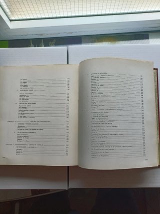 Enciclopedia Historia de España Ilustrada, Sopena