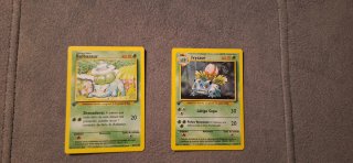 Bulbasaur y Ivysaur Primera Edición Base Set