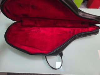 Funda para saxofón alto