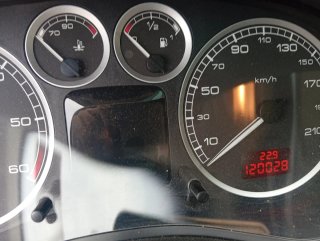 Peugeot 307 2004