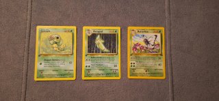 Pack Cartas Pokémon: Caterpie, Metapod, Butterfree