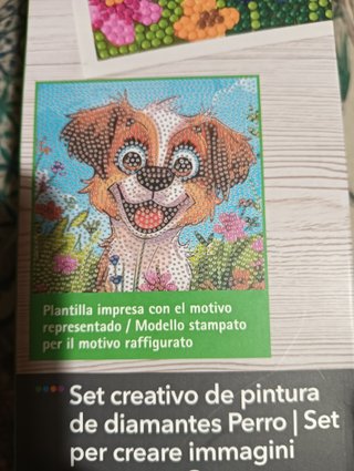 Pintura Diamantes Crelando Perro Flores