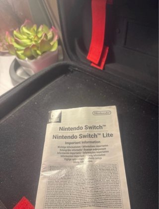 Accesorios Nintendo Switch: Funda y Mandos