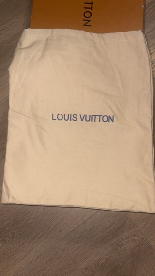 Zapatillas Louis Vuitton Beige y Marrón