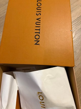 Zapatillas Louis Vuitton Beige y Marrón
