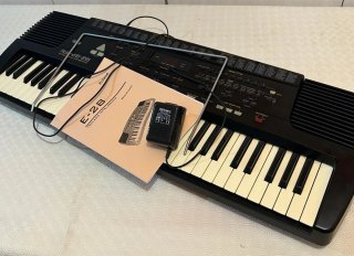 Teclado Roland E-28