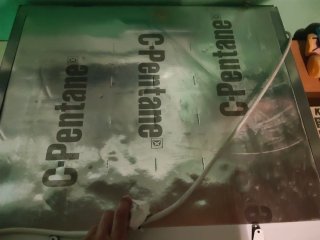 Nevera pequeña Bosch nueva, enchufe inglés
