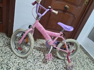 Barbie Ruedas 16 pulgadas Niña Rosa Princess