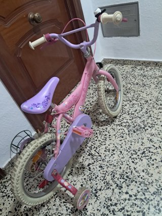 Barbie Ruedas 16 pulgadas Niña Rosa Princess