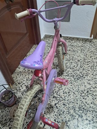 Barbie Ruedas 16 pulgadas Niña Rosa Princess