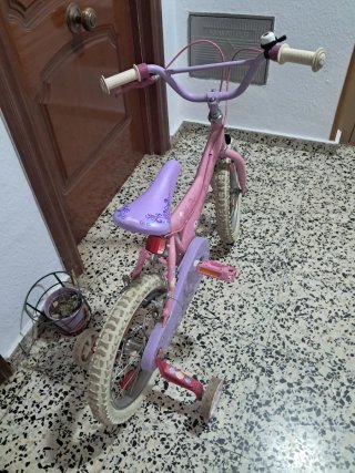Barbie Ruedas 16 pulgadas Niña Rosa Princess