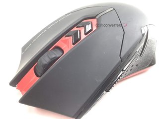 raton et x-08