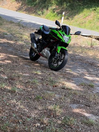 Kawasaki Ninja 125 Sportbike Negra y Verde