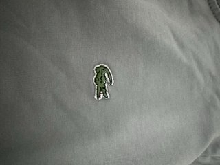 Sudadera Lacoste Gris