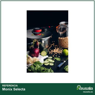 Monix Selecta olla presión 9 litros acero
