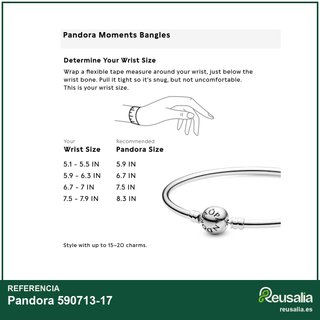 Pandora pulsera rígida plata 590713-17