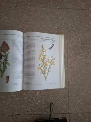 El Gran Libro de las Plantas Medicinales