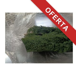 Planta artificial árbol cedro exterior decorativo