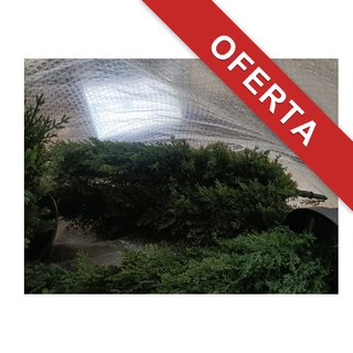 Planta artificial árbol cedro exterior decorativo