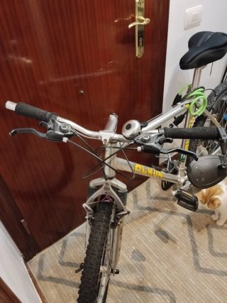 Bicicleta de Montaña Alkon Plata de aluminio.