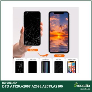 DTD A1920,A2097,A2098,A2099,A2100 Pantalla LCD