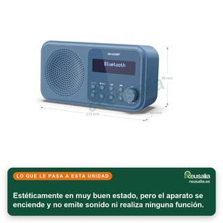 - Sharp DR-P420(BL) radio digital portátil