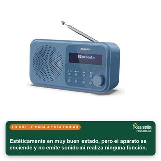 - Sharp DR-P420(BL) radio digital portátil