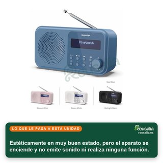 - Sharp DR-P420(BL) radio digital portátil