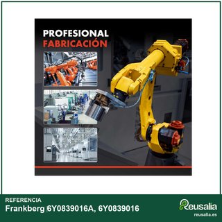 Frankberg cerradura servomotor puerta trasera