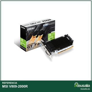 MSI V809-2000R tarjeta gráfica pasiva 2GB HDMI