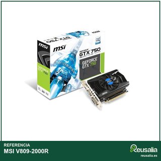 MSI V809-2000R tarjeta gráfica pasiva 2GB HDMI