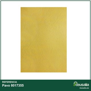 Plats couverture A3 negro 250g paquete