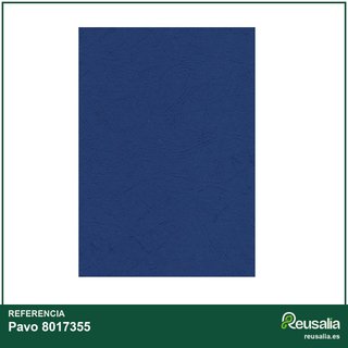 Plats couverture A3 negro 250g paquete