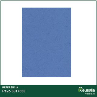 Plats couverture A3 negro 250g paquete